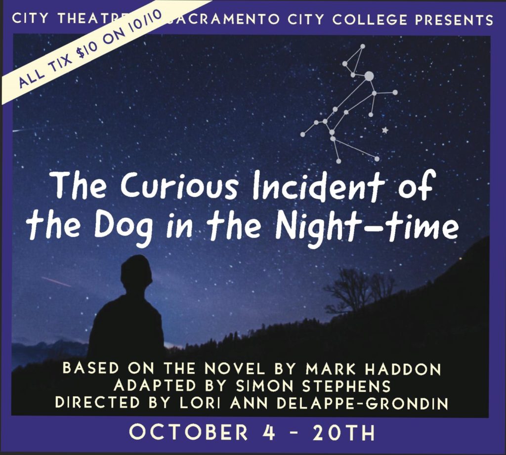The Curious Incident of the Dog in the Night-time – City Theatre